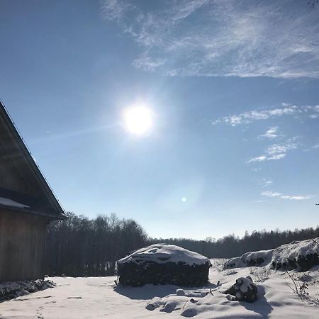 Zurawi Jar Bed & Breakfast Wabrzezno Екстериор снимка