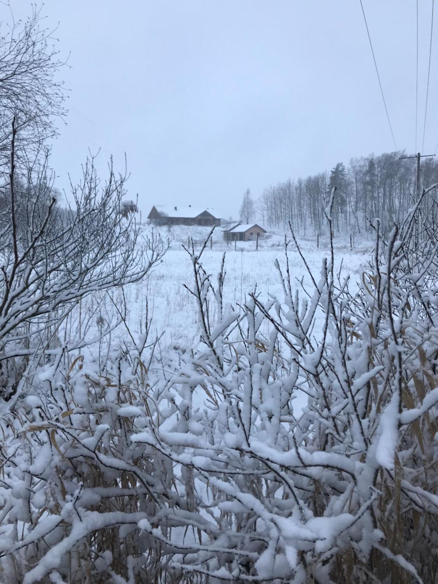 Zurawi Jar Bed & Breakfast Wabrzezno Екстериор снимка